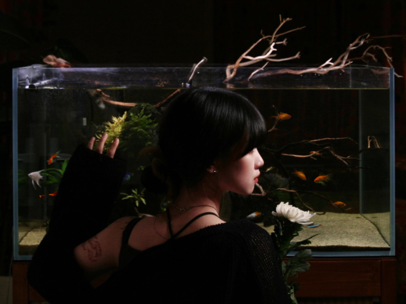 Ordinary citizen (Single)