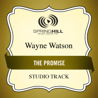 The Promise (Single)