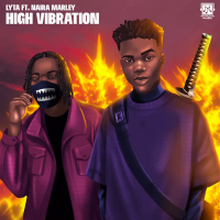 High Vibration (Single)