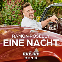 Eine Nacht (Nur So! Remix) (Single)