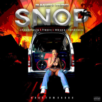 SNOP (Single)