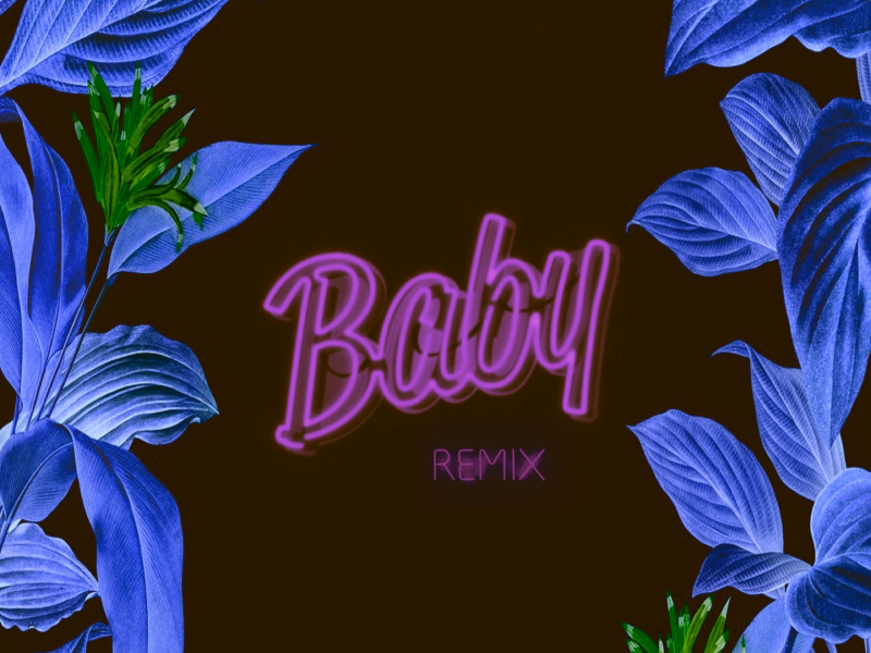 Baby (Remix) (Single)