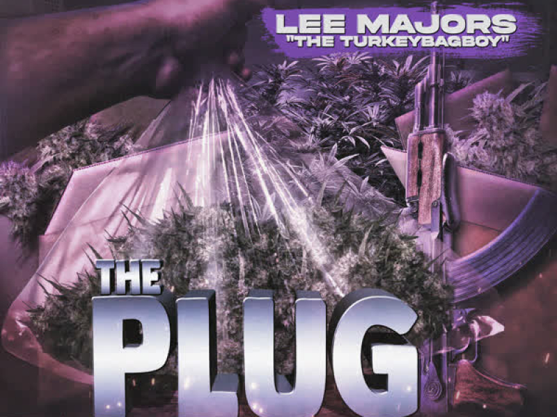 The Plug 2