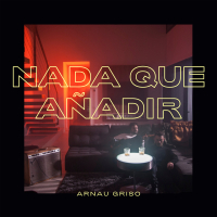 Nada Que Anãdir