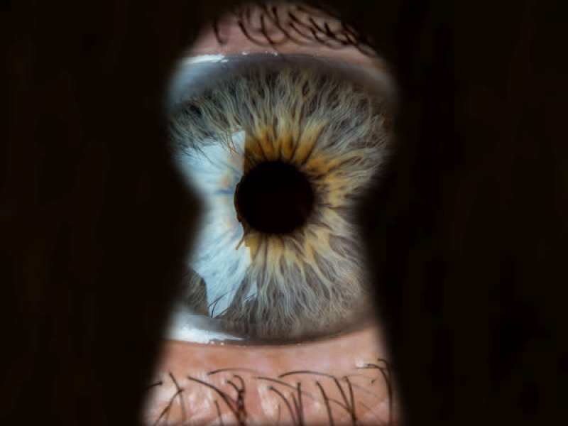 It's Not 1984 (Single)