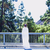 Almost Home (Moby's Simple Remix) (Single)