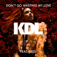 Don't Go Wasting My Love