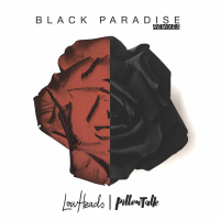 Black Paradise (Remixes) (EP)