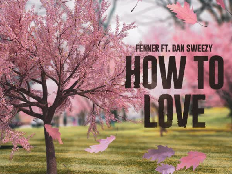 How To Love (feat. Dan Sweezy) (Single)