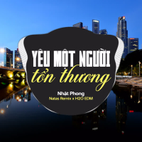 Yêu Một Người Tổn Thương (EDM) (Single)
