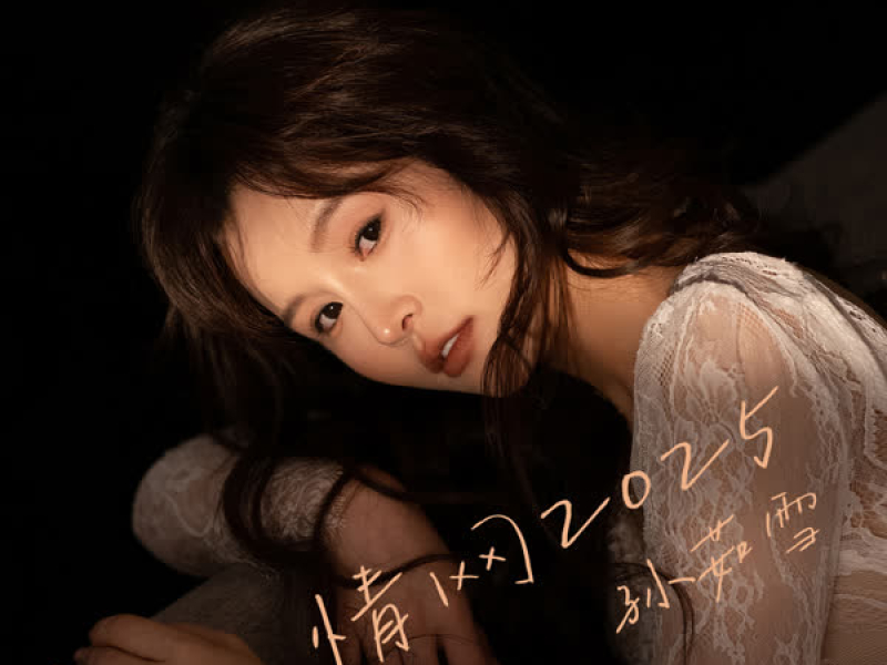 情网2025 (DJ默涵版) (Single)