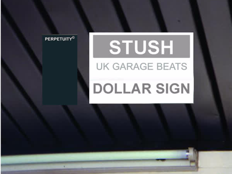 Dollar Sign (Single)