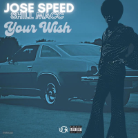 Your Wish (Single)