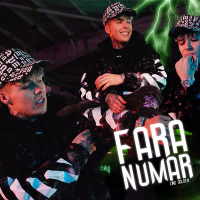 Fara numar (Single)