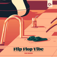 Flip Flop Vibe (Single)