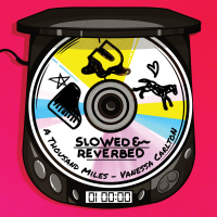 A Thousand Miles (Slowed + Reverb) (Single)