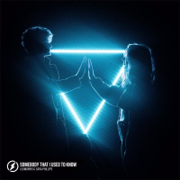 Somebody That I Used To Know (Single)