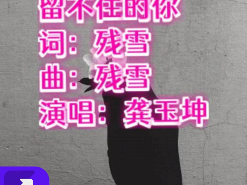 留不住的你 (Single)