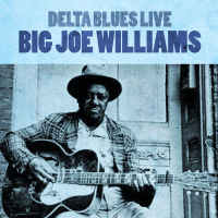 Delta Blues Live
