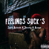 Feelings suck's (Single)