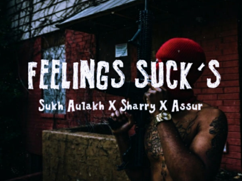 Feelings suck's (Single)
