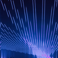 Electric Feel (Single)