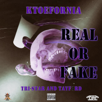 Real or Fake (Single)