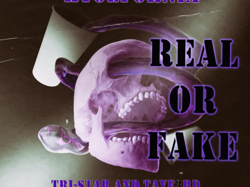 Real or Fake (Single)