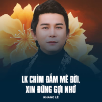 LK Chìm Đắm Mê Đời, Xin Đừng Gợi Nhớ (Single)