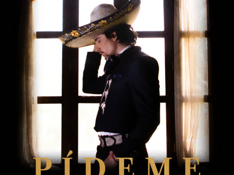 Pídeme (Single)