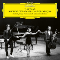 Brahms: Clarinet Trio in A Minor, Op. 114: I. Allegro (Single)