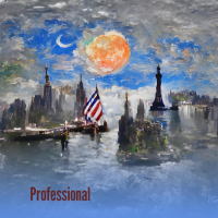 Professional (Single)