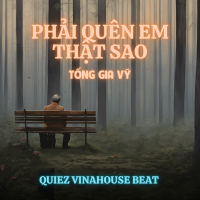 Phải Quên Em Thật Sao (Quiez Vinahouse Beat) (Single)