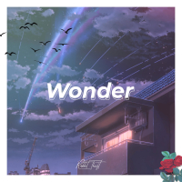 Wonder (Single)