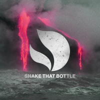 Shake That Bottle (Single)