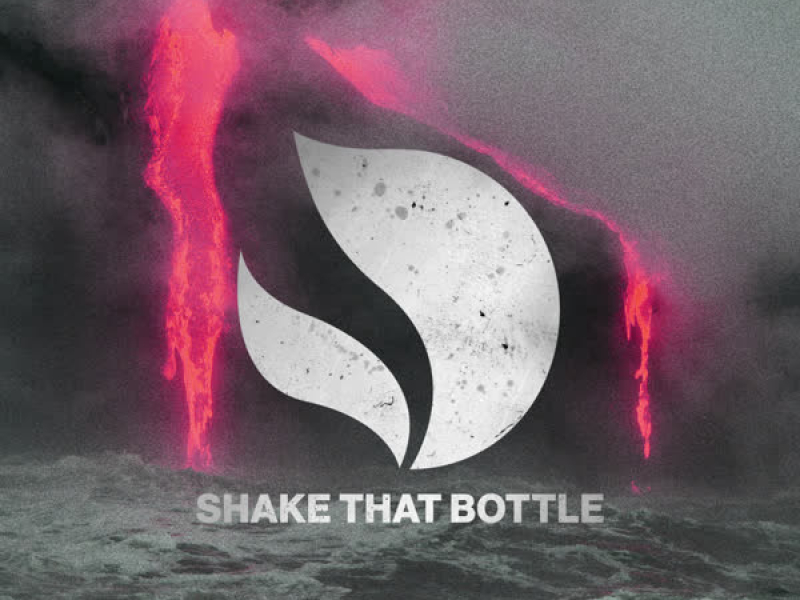 Shake That Bottle (Single)