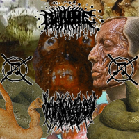 Crap for Brains (split) (EP)