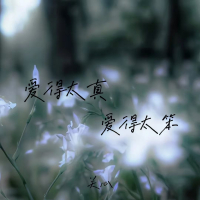 爱得太真 爱得太笨 (Single)