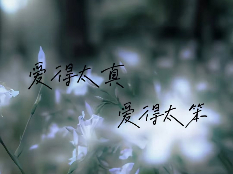 爱得太真 爱得太笨 (Single)