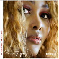 Price to Pay (Single)