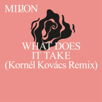 What Does It Take (Kornél Kovács Remix) (Single)