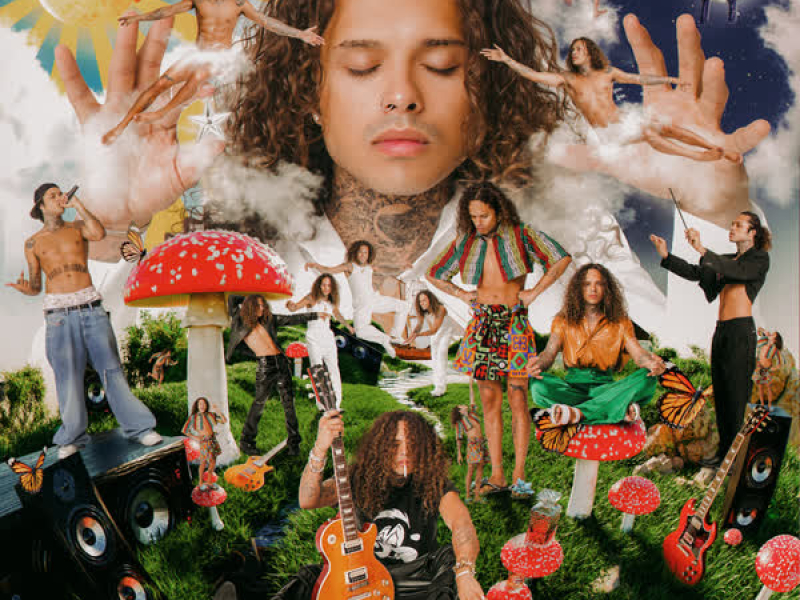 Proposital (Citação Aquele Abraço) (Single)