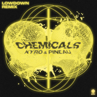 Chemicals (Lowdown Remix) (Single)
