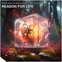 Reason For Life (feat. Nathan Brumley) (Single)