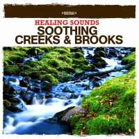 Healing Sounds - Soothing Creeks & Brooks