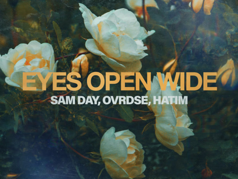 Eyes Open Wide (Single)