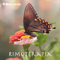 Rimoterapia (Single)