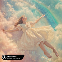 Take It Slower (Single)