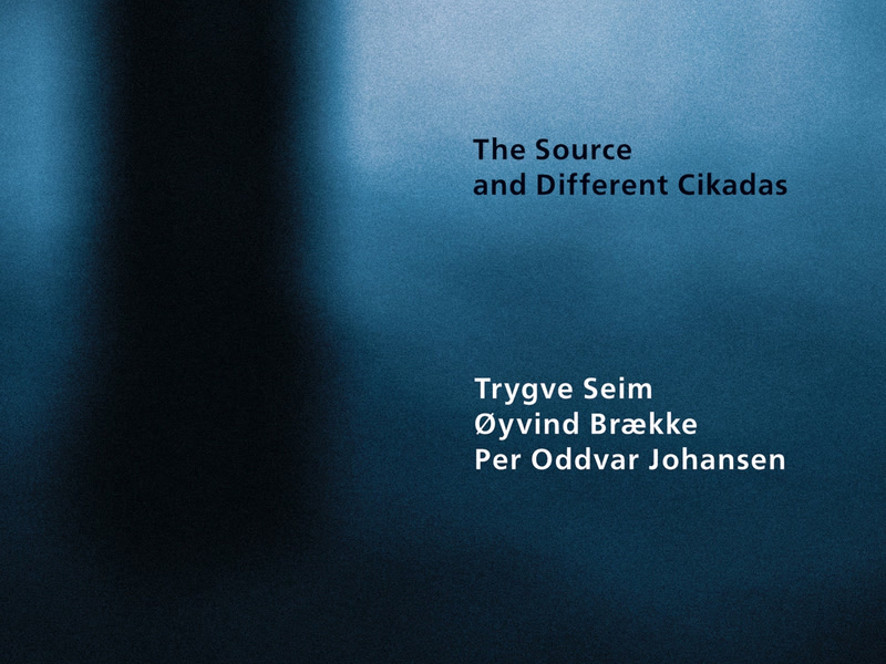 The Source And Different Cikadas