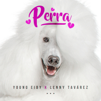 Perra (Single)